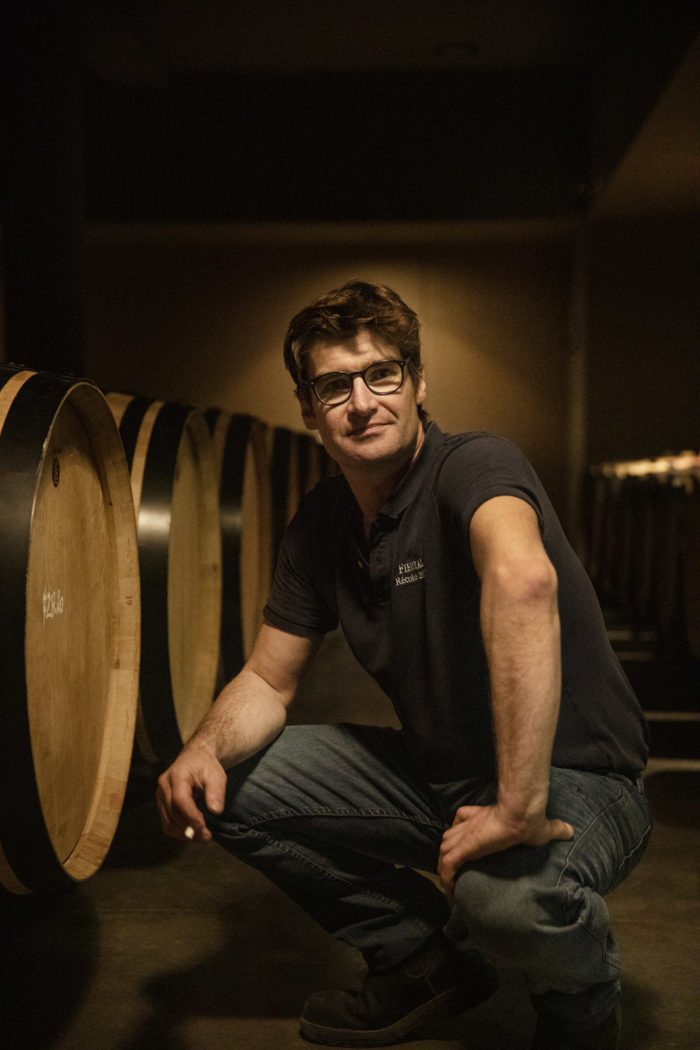 Fieuzal — Wine — Élodie Daguin