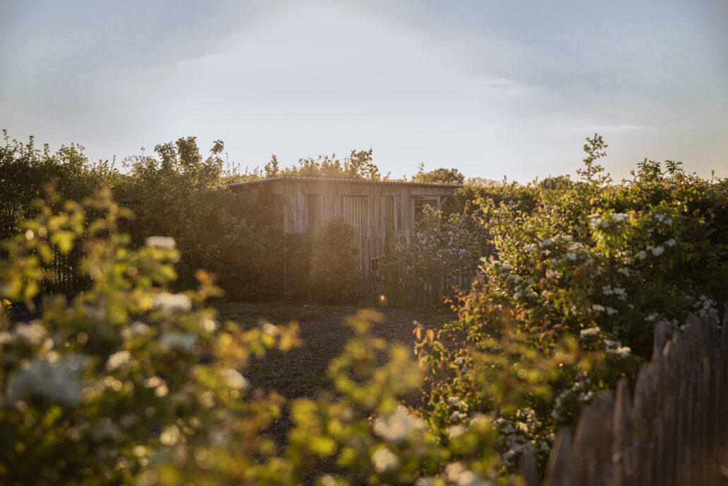 Fieuzal — Wine - Élodie Daguin