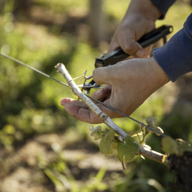 Homepage - Élodie Daguin