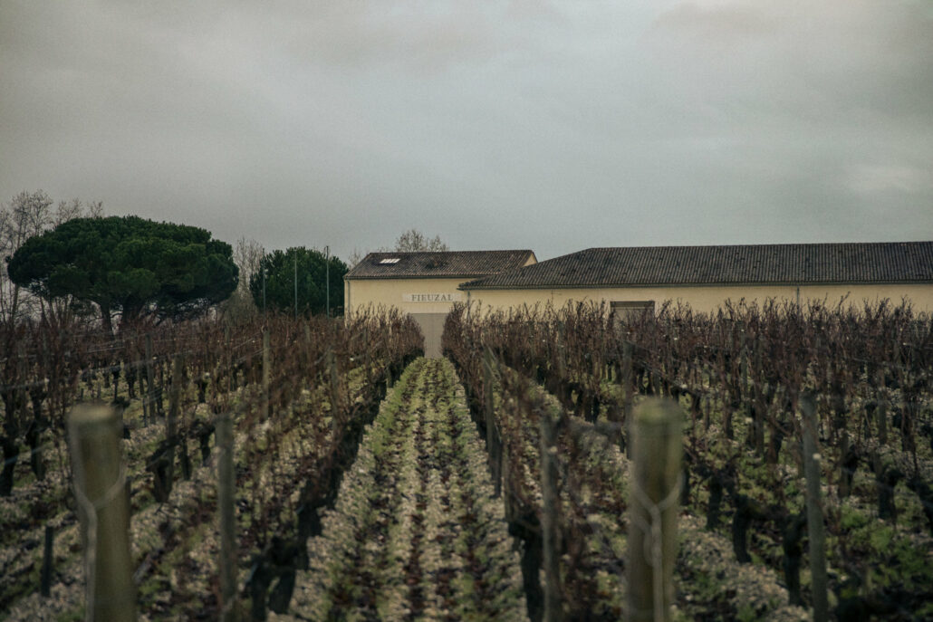 Fieuzal — Wine - Élodie Daguin