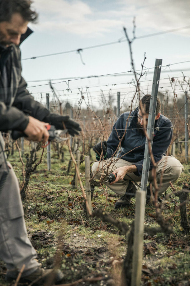 Fieuzal — Wine - Élodie Daguin