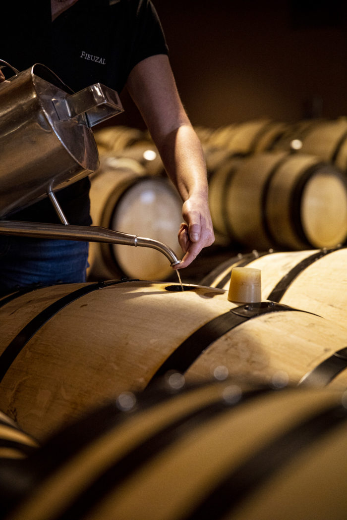 Fieuzal — Wine — Élodie Daguin