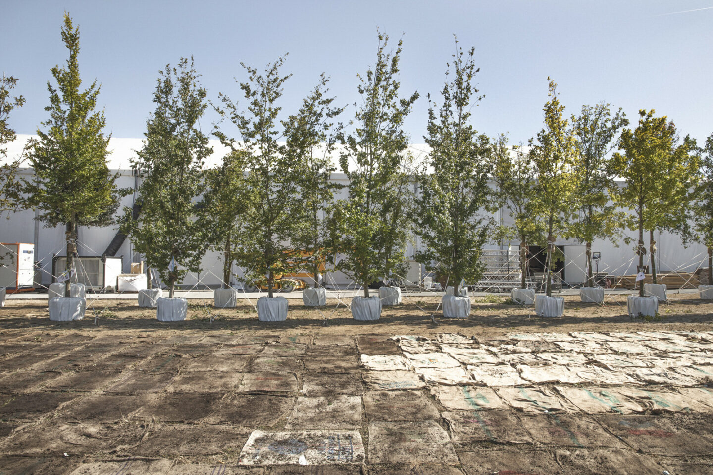 Dior — Planting for future — Élodie Daguin