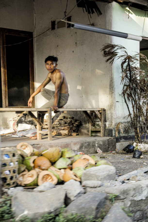 Rice harvest - Élodie Daguin