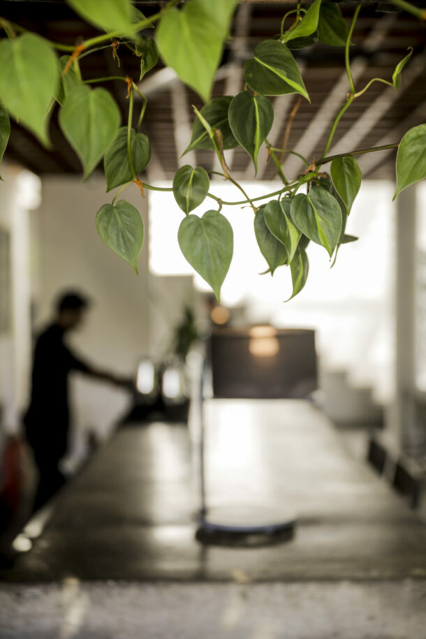 The Slow - Élodie Daguin