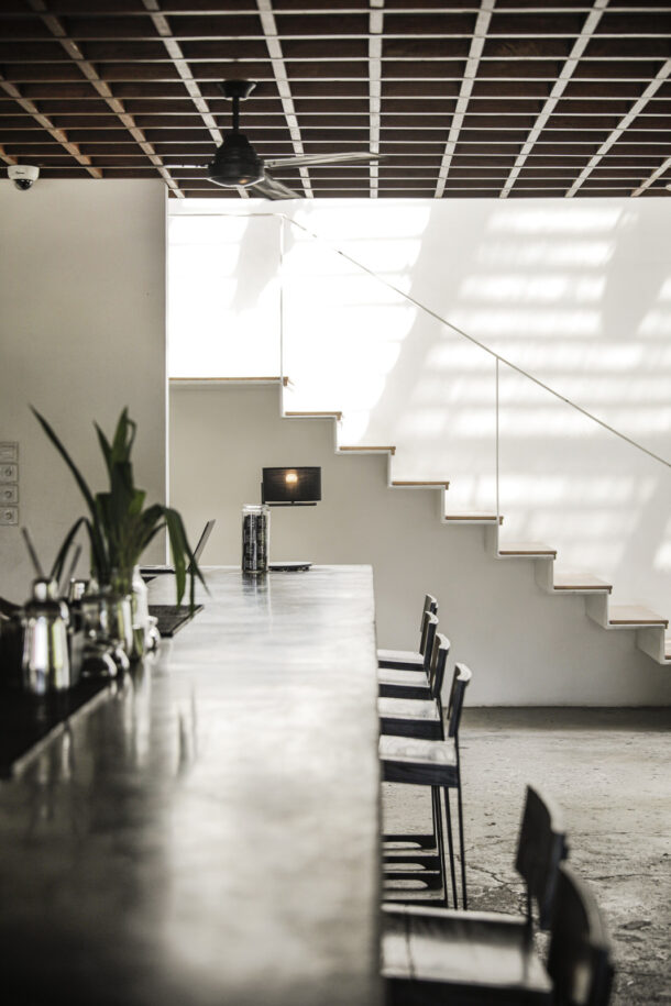 The Slow - Élodie Daguin