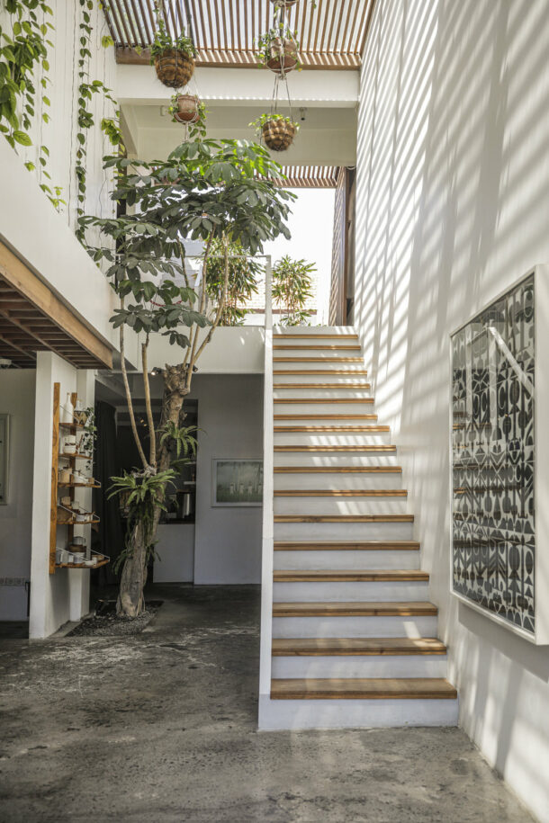 The Slow - Élodie Daguin