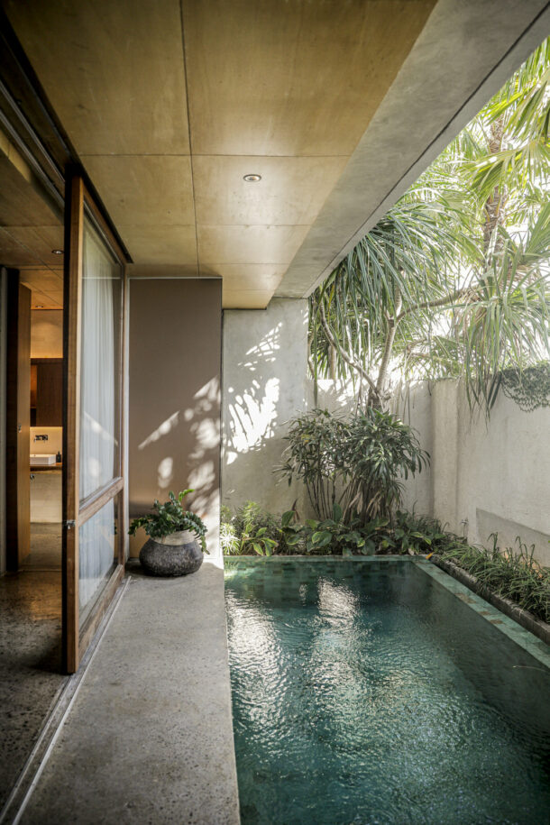 The Slow - Élodie Daguin